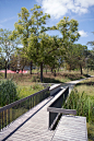 Petit Bois Park Upgrade in the Bellefontaine Neighbourhood « Landscape Architecture Platform | Landezine
