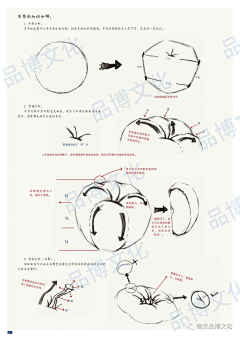 Da丿橙子采集到石膏像