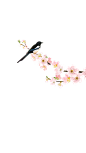 桃花喜鹊png