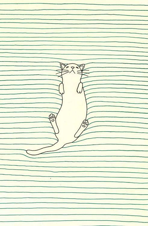 手机壁纸,插画,床单,白猫