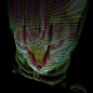 Moog, the glitch cat 004 by geso1001