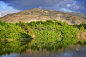 海地蒙特鲁斯湖上的景观反射