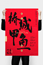 桥城甲鱼春节包装设计 - WANGZHONG SHI 设计圈 展示 设计时代网-Powered by thinkdo3 #设计#