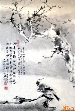 细菌的春天采集到国画花鸟