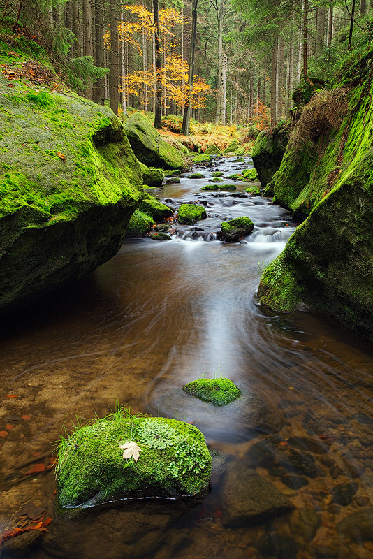 Bohemian Switzerland...