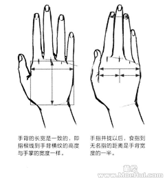 樱花鹿儿采集到手