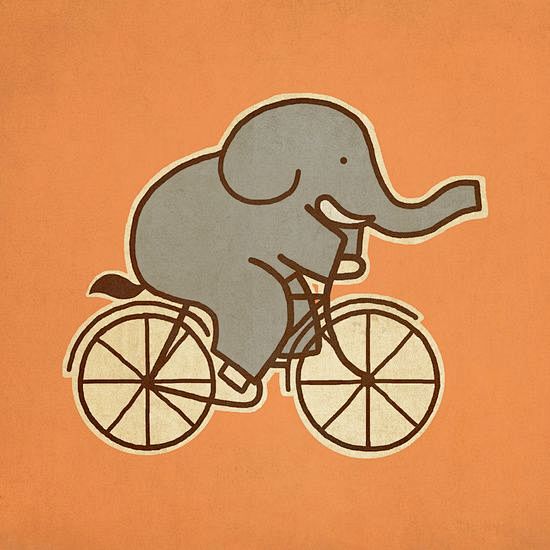 Elefante en biciclet...