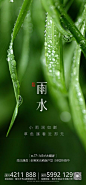 雨水节气海报-源文件