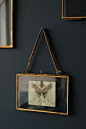 Wonder if I can find a home for some of these great frames. Love thier rustic scientific style...  Brass  Glass Picture Frame - 4x6 Landscape - Rockett St George: 