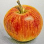 【教程】我又又又来分享了，一个简单粗暴的苹果教程_彩铅画吧_百度贴吧