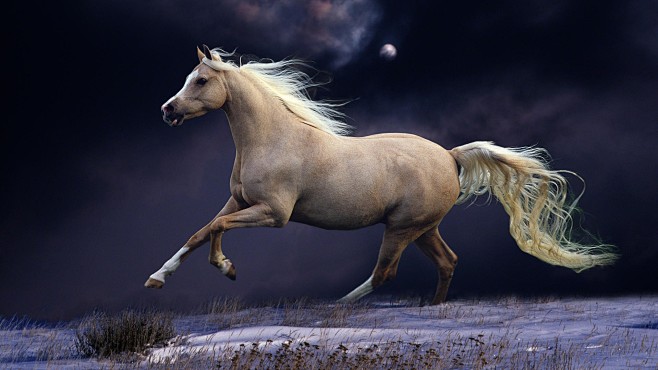 White Horse (1920×10...