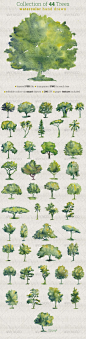 Collection of 44 Watercolor Trees: 