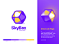 Skybox - Icon website android iphone sketch identity branding app illustration logo icon
