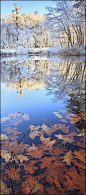 First Snow, Pelham, Massachusetts | Amazing Pictures