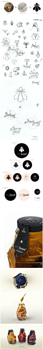 Process/Development of Beeloved / honey / logo / identity / branding / sketches / design / packaging / sketch