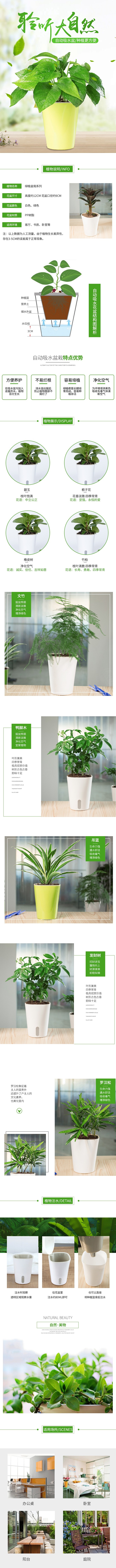 淘宝绿色植物鲜花盆栽详情页清新产品宝贝描...