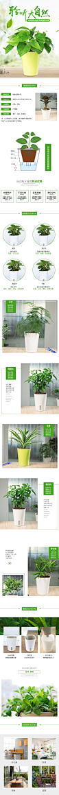 淘宝绿色植物鲜花盆栽详情页清新产品宝贝描述PS分层设计排版素材