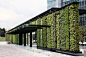 VERTICAL GARDEN