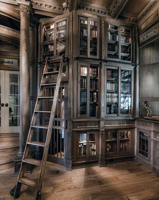 美丽的定制硬木柜家庭图书馆