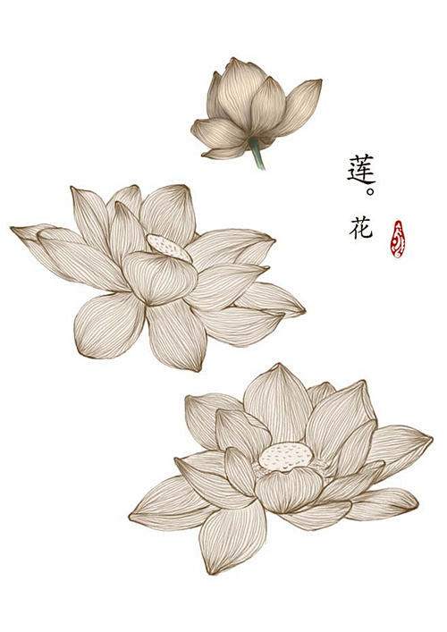 中国复古风 工笔画 牡丹 梅花 鹿孔雀 ...