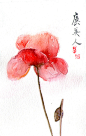 chobi  的插画 水彩花朵练习
