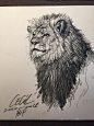 R I P the greatest lion king ’CECIL”-狮鸢SONNY__涂鸦王国插画