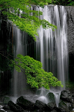 馒头佬采集到风景