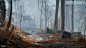 Battlefield V Singleplayer Tirailleur, Pontus Ryman : I worked as a Senior Environment Artist on Battlefield V, working across both Singleplayer and Multiplayer with polishing, pushing quality across the board and wrapping up the environment art.
On the T
