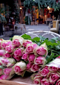 ❥ Paris  market roses