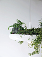 1-the-babylon-plantable-light-fixture-by-ryan-taylors