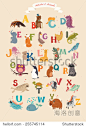alphabet   animal vector set....
