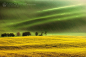 Photograph sunny fields by Piotr Krol on 500px