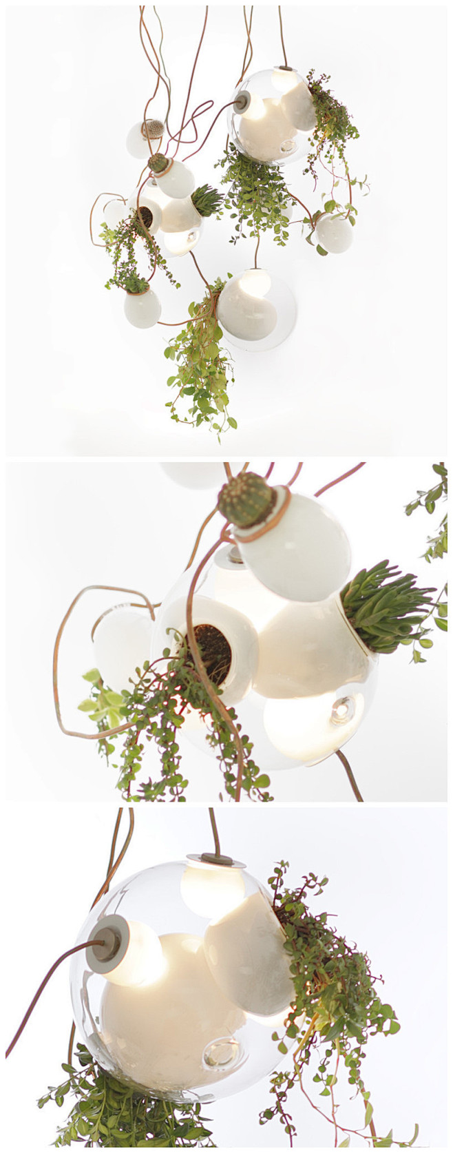 #创意DIY#植物吊灯：Planter ...