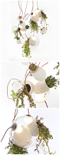 #创意DIY#植物吊灯：Planter chandelier by 加拿大设计公司
