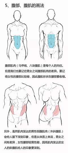 泥塑的藝術空间（勿扰）采集到人体结构·肌肉·艺术