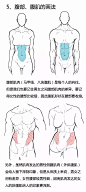 【绘画教程】如何绘制一个肌肉女（从男女身体差异开始）