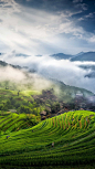 云雾渐消的山谷，立体感十足的稻田，这里是桂林龙脊梯田