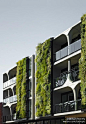 建筑垂直绿化