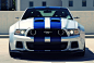 Need for Speed Shelby GT500 Hero Car