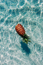 Pineapple. | S a l t | Pinterest