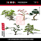 景观园林SU精选15种3d禅意景观松树迎客松造型松精细模型001-淘宝网