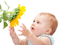 看花朵的婴儿图片素材