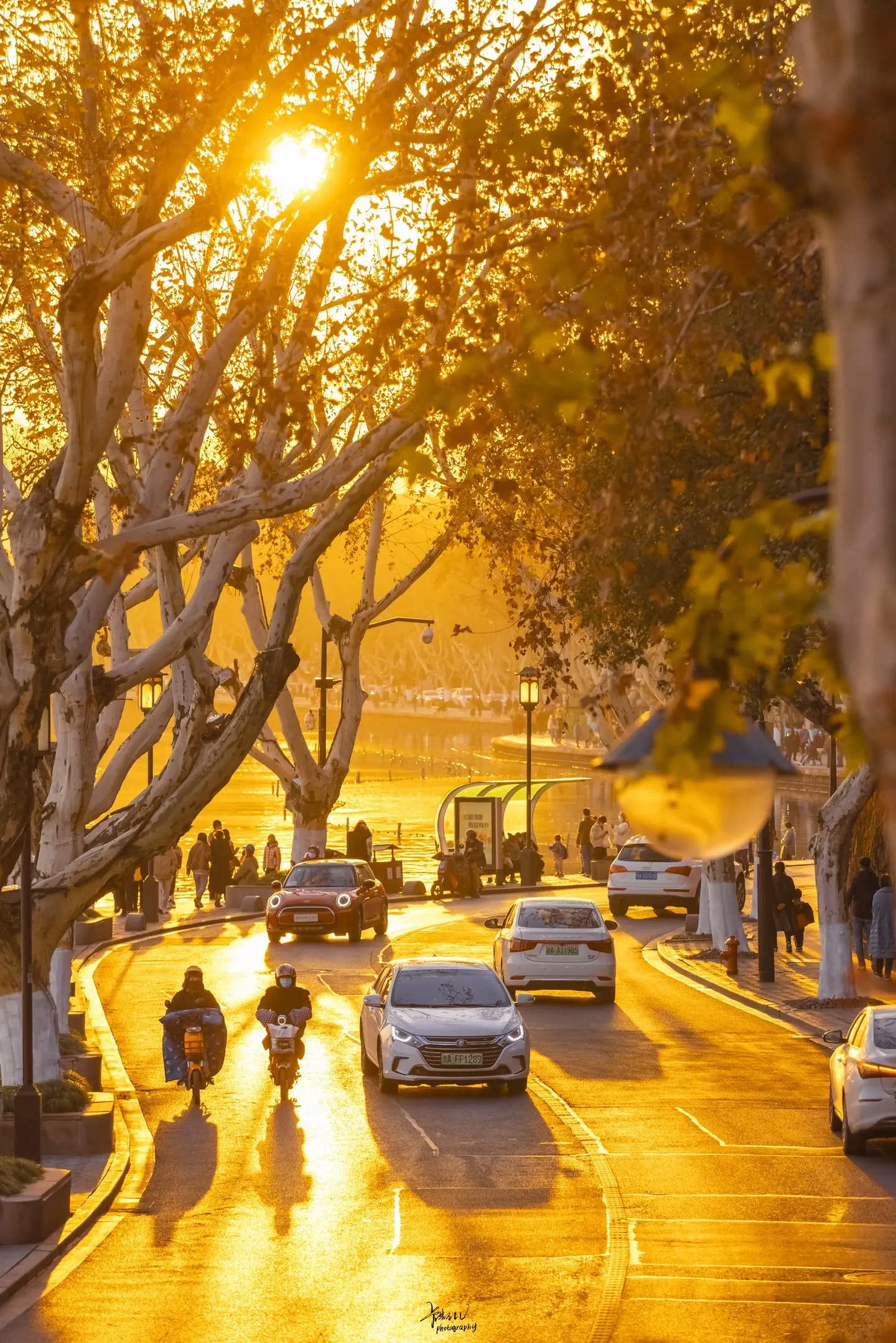 7185434b9bcf9f40a976baaaa9b7ead938dc7f043bd2ea-HoIWyG