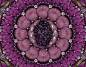 Les Merveilles violettes I : Large composition photo by Art du Lion.