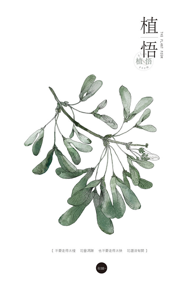 【植悟】