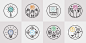 branding  climate change conservation environment iconography icons identity minimal Nature science