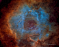 When Roses Aren't Red 
Image Credit & Copyright: Eric Coles and Mel Helm
Explanation: Not all roses are red of course, but they can still be very pretty. Likewise, the beautiful Rosette Nebula and other star forming regions are often shown in astronom