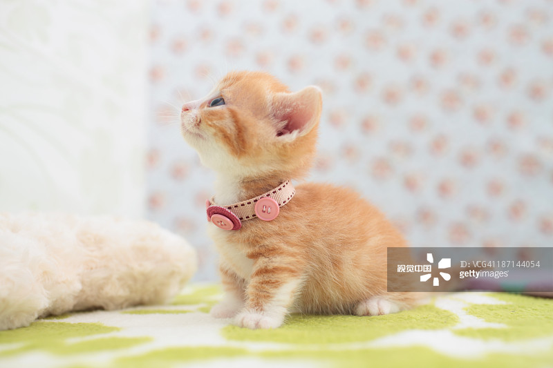 719dc8fd80e4a437362d539be9d9114d41350e0513aab-q2Mzdm