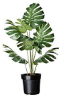 FEJKA Artificial potted plant modern-artificial-flowers-plants-and-trees