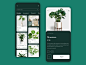 绿色生命力！12组绿植购买App界面设计